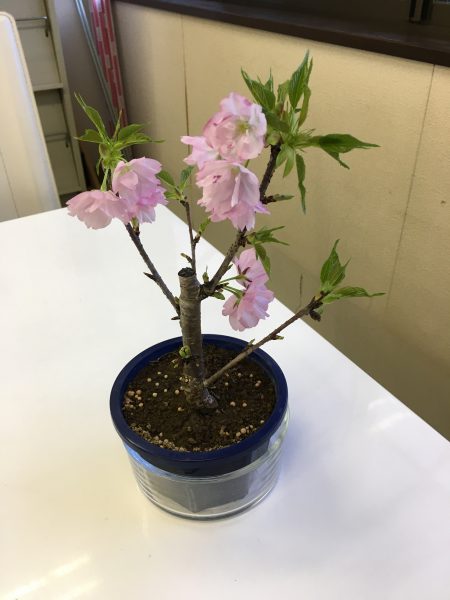 もう直